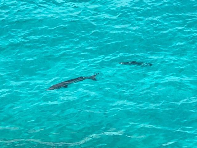 Sommerville Resorts Negril Luaran gambar